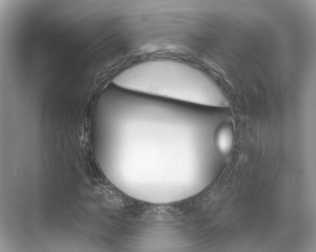 X0000076040966200609220914