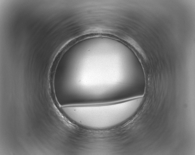 X0000076040972200609220914