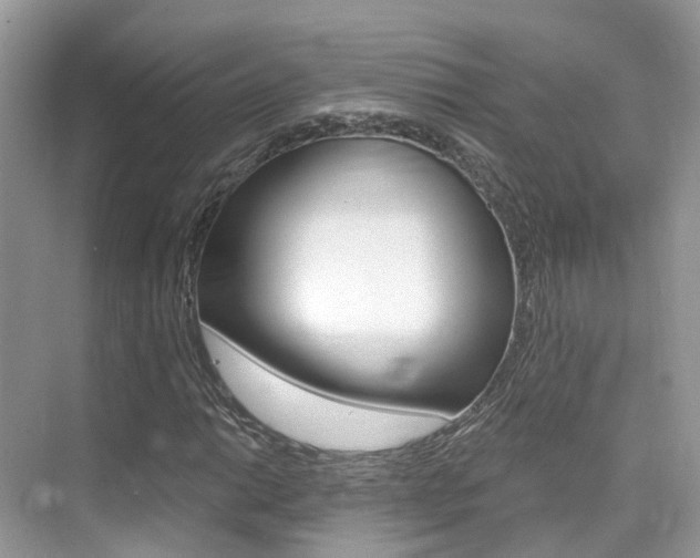 X0000076041014200609220913