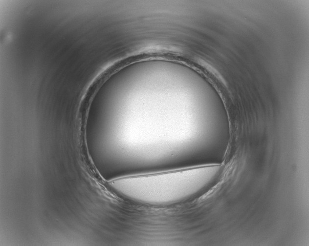 X0000076041021200609220913
