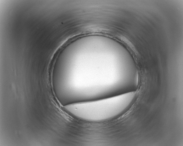 X0000076041023200609220913