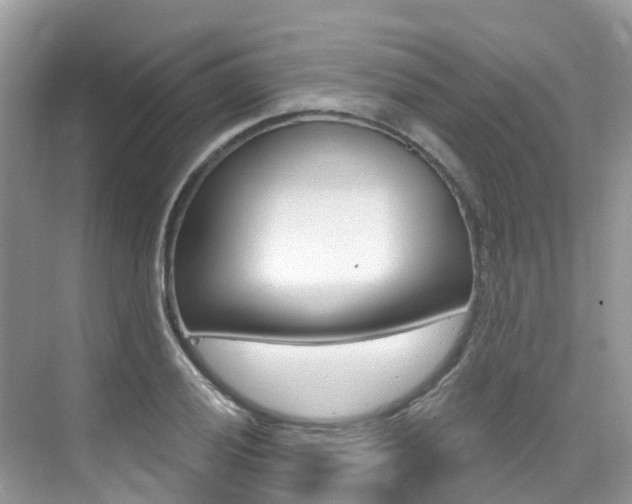X0000076041028200609220913