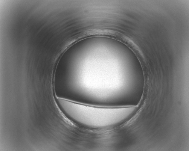 X0000076041033200609220913