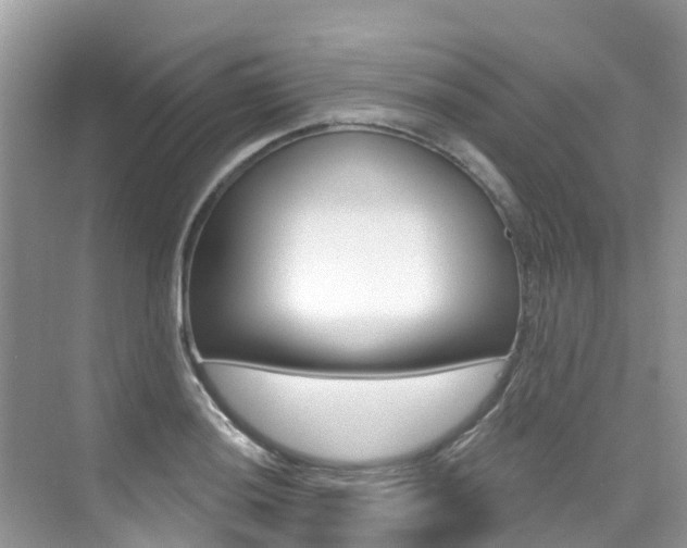 X0000076041036200609220913