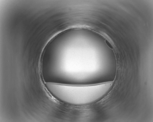X0000076041044200609220913