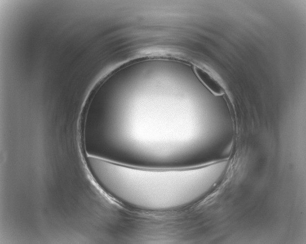 X0000076041045200609220913