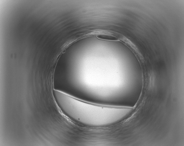 X0000076041049200609220913