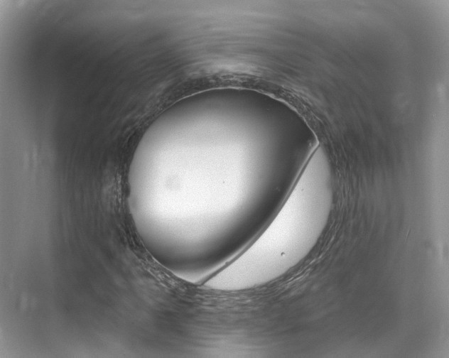 X0000076041061200609220913