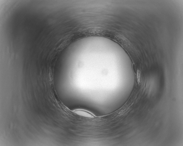 X0000076041107200609220911