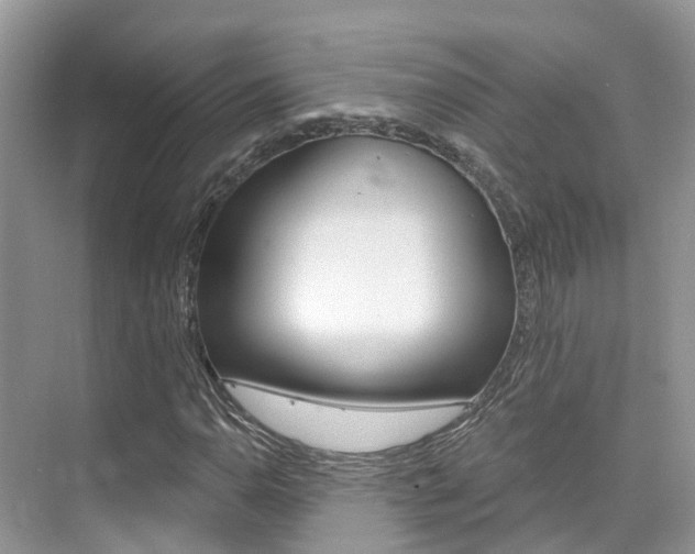 X0000076041110200609220911