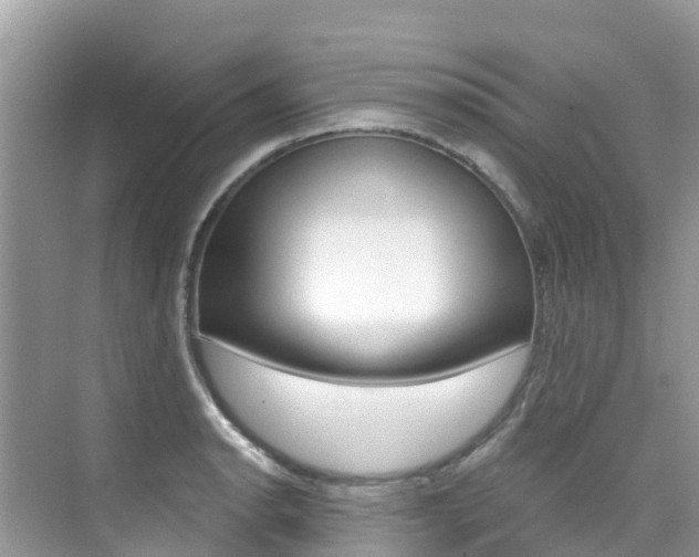 X0000076041134200609220912