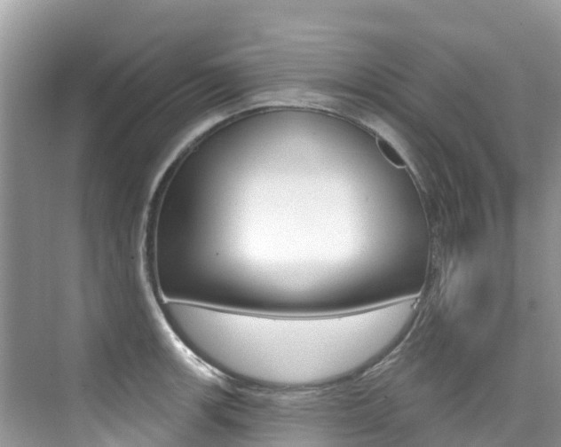 X0000076041139200609220912