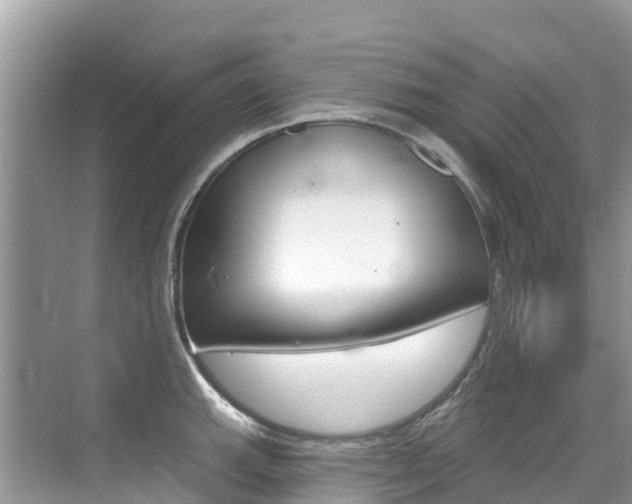 X0000076041143200609220912