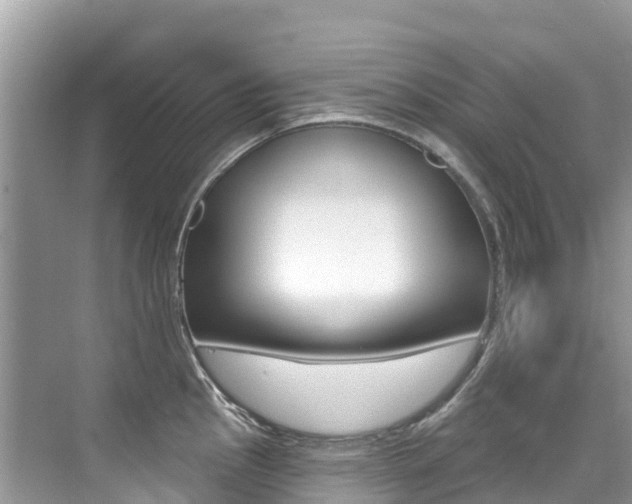 X0000076041145200609220912