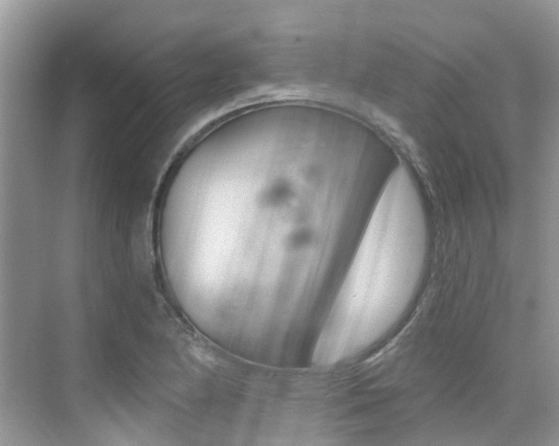 X0000076041174200609220911