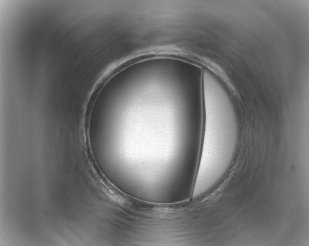 X0000076041176200609220911