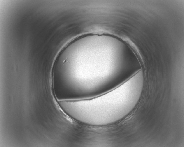 X0000076041191200609220910
