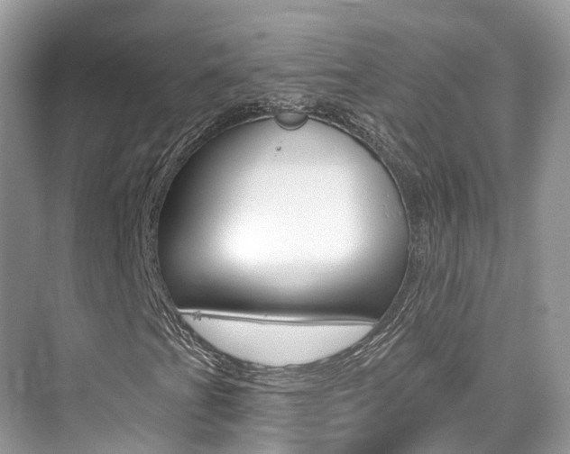 X0000076041201200609220909