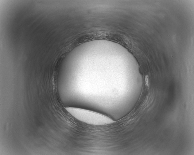 X0000076041203200609220910
