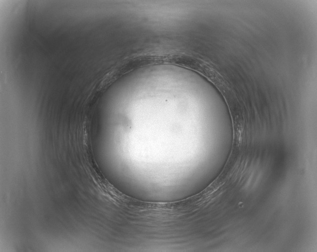 X0000076041204200609220910