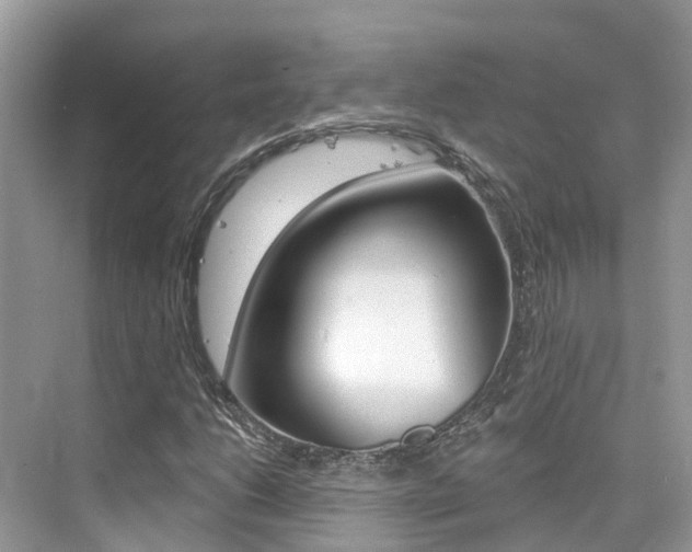 X0000076041206200609220910