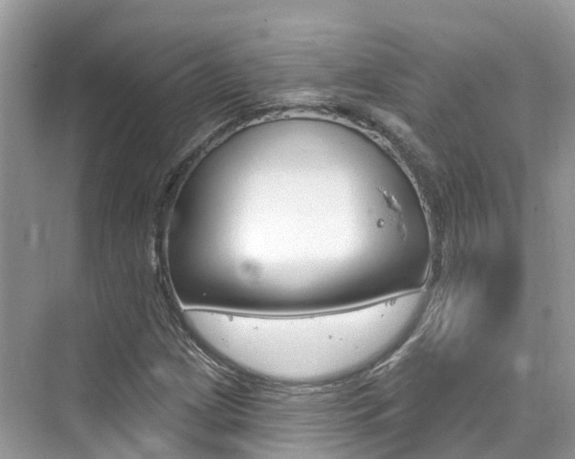 X0000076041209200609220910