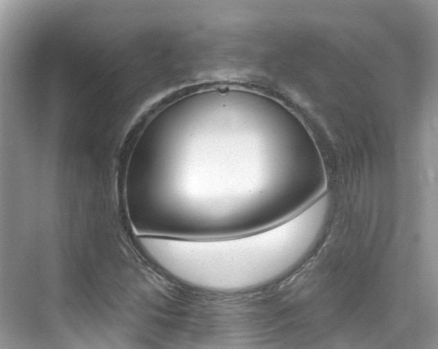 X0000076041214200609220910