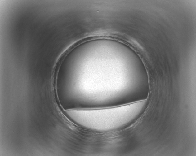 X0000076041216200609220910