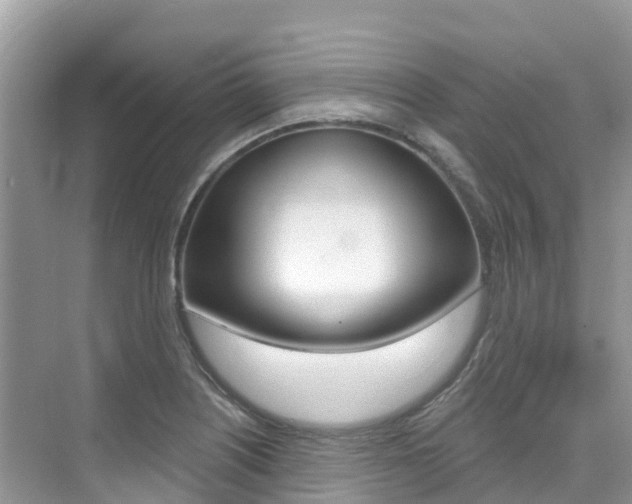 X0000076041226200609220910
