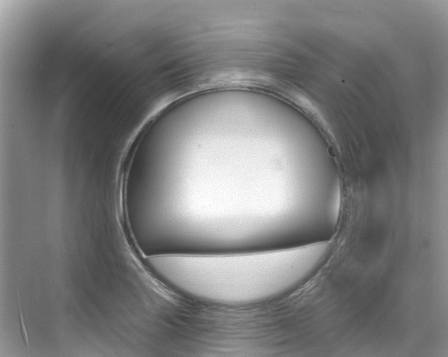 X0000076041227200609220910