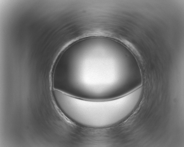X0000076041238200609220910