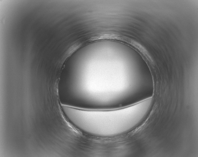 X0000076041241200609220910