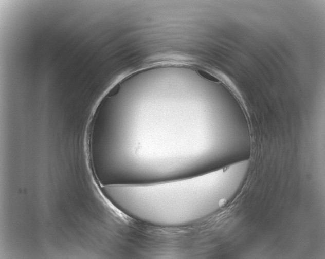X0000076041243200609220910