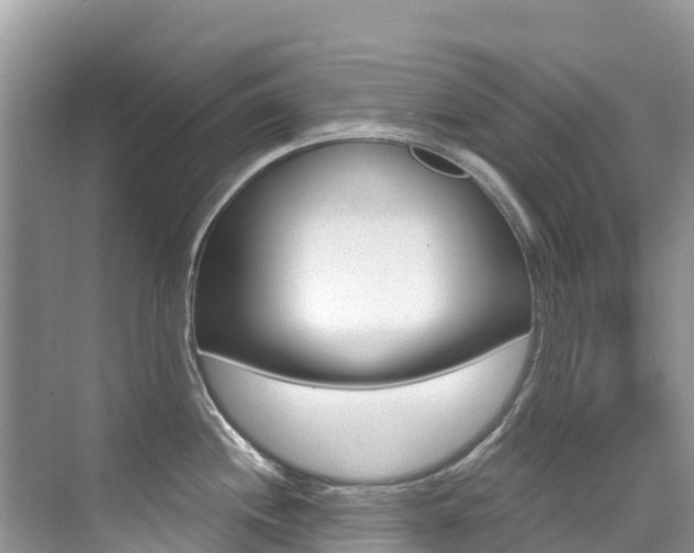 X0000076041244200609220910