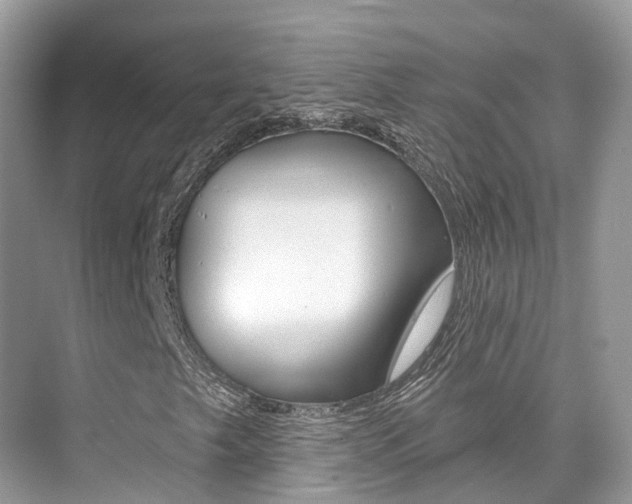 X0000076041249200609220909