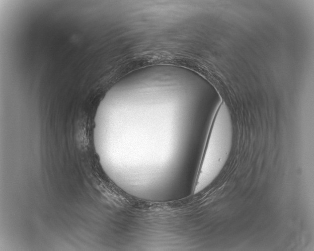 X0000076041250200609220909