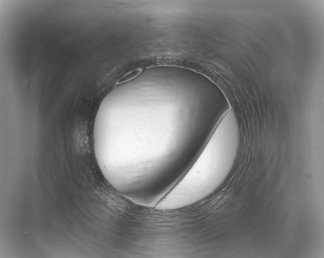 X0000076041252200609220909