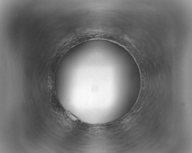 X0000076041253200609220909