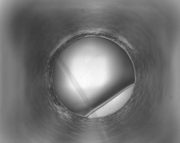 X0000076041256200609220909