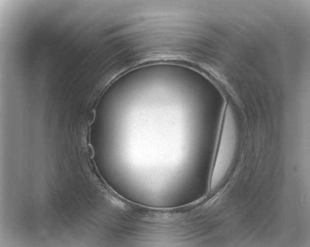 X0000076041273200609220909