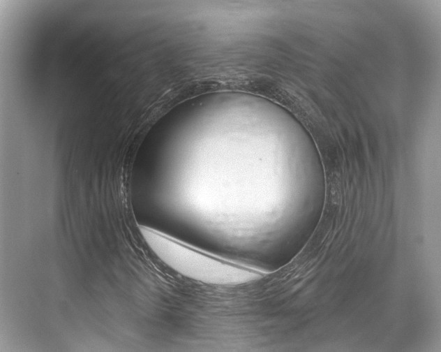 X0000076041298200609220908
