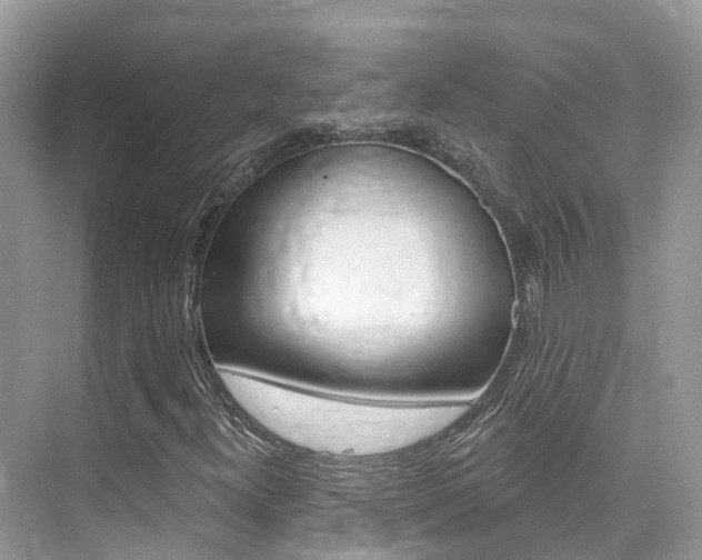 X0000076041300200609220908