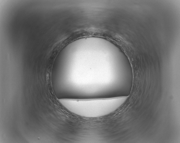 X0000076041302200609220908