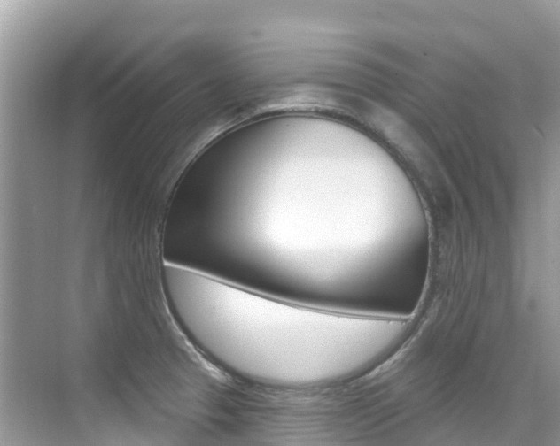X0000076041329200609220908