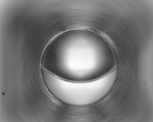X0000076041332200609220908
