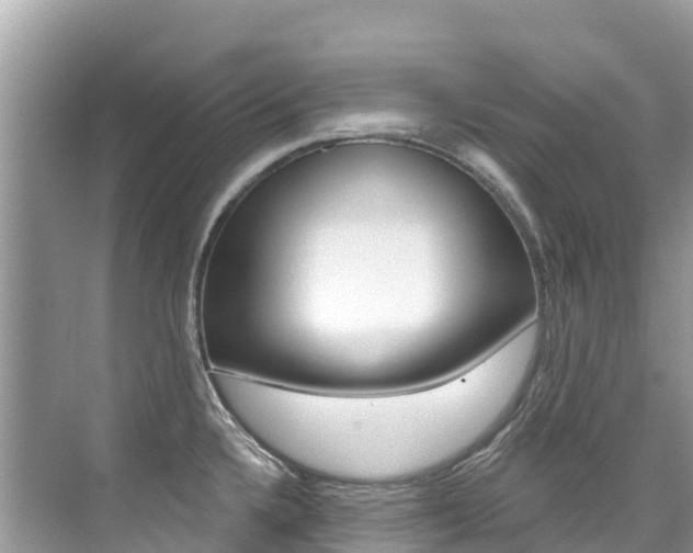 X0000076041336200609220909