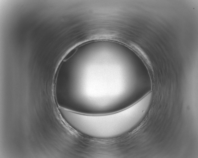 X0000076041340200609220909