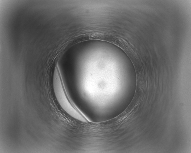 X0000076041345200609220908