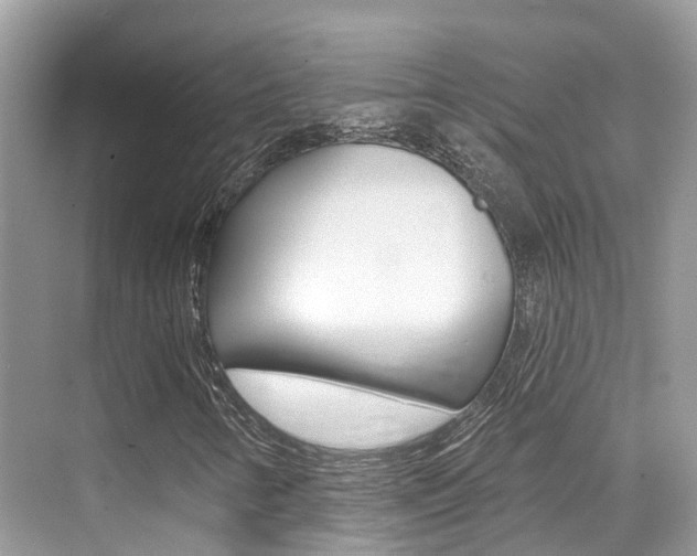X0000076041346200609220908