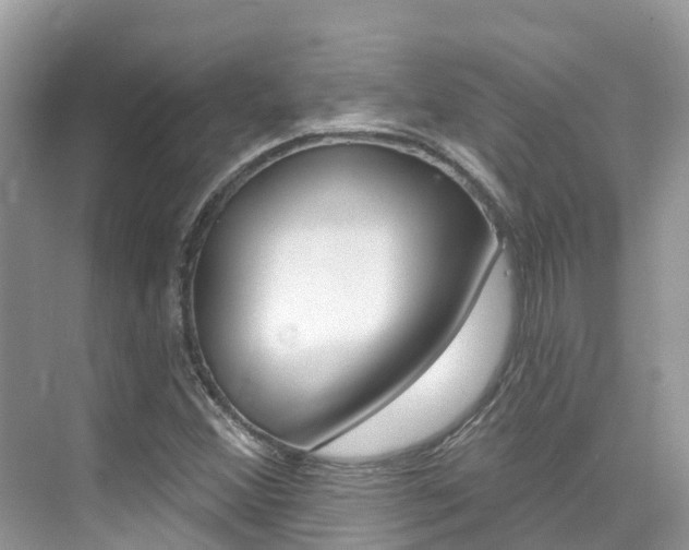 X0000076041356200609220908
